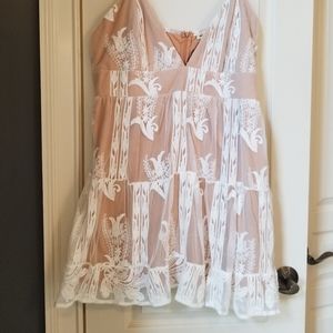 Southern Fried Chics nude dress